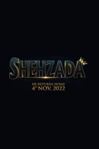 Poster for the movie "Shehzada"