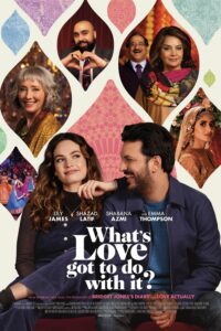 Poster for the movie "What's Love Got to Do With It?"